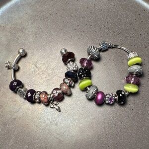 Elegant Silver and Purple Charm Bracelet Set